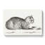 Cat by a Bowl by Jean Bernard - Wrapped Canvas Drawing - Wrapped Canvas-55372011
