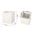 PLANTER-1167836007