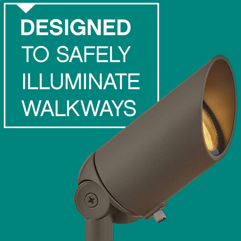 Hinkley Adjustable Lumacore Spot Light