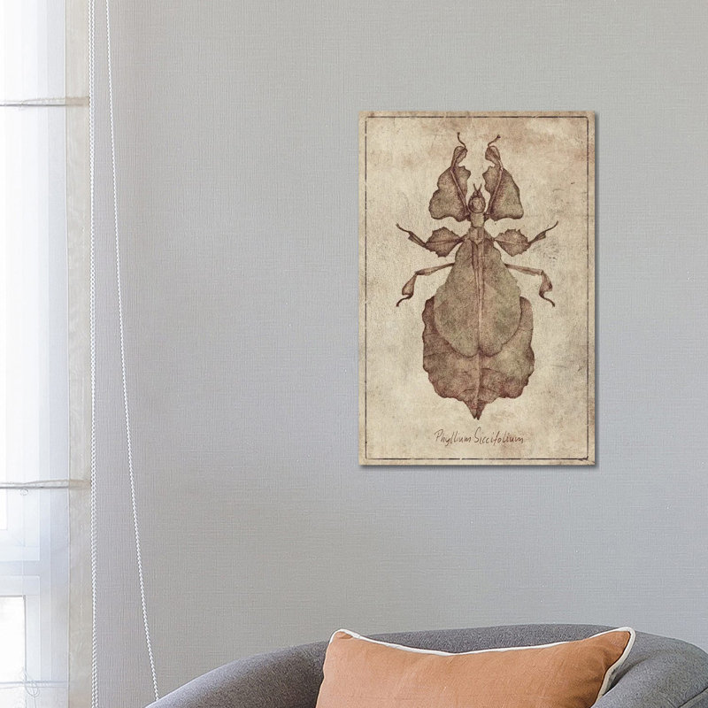 Phyllium Siccifolium 2 by Mike Koubou - Wrapped Canvas Print, 66.04 cm H x 45.72 cm W