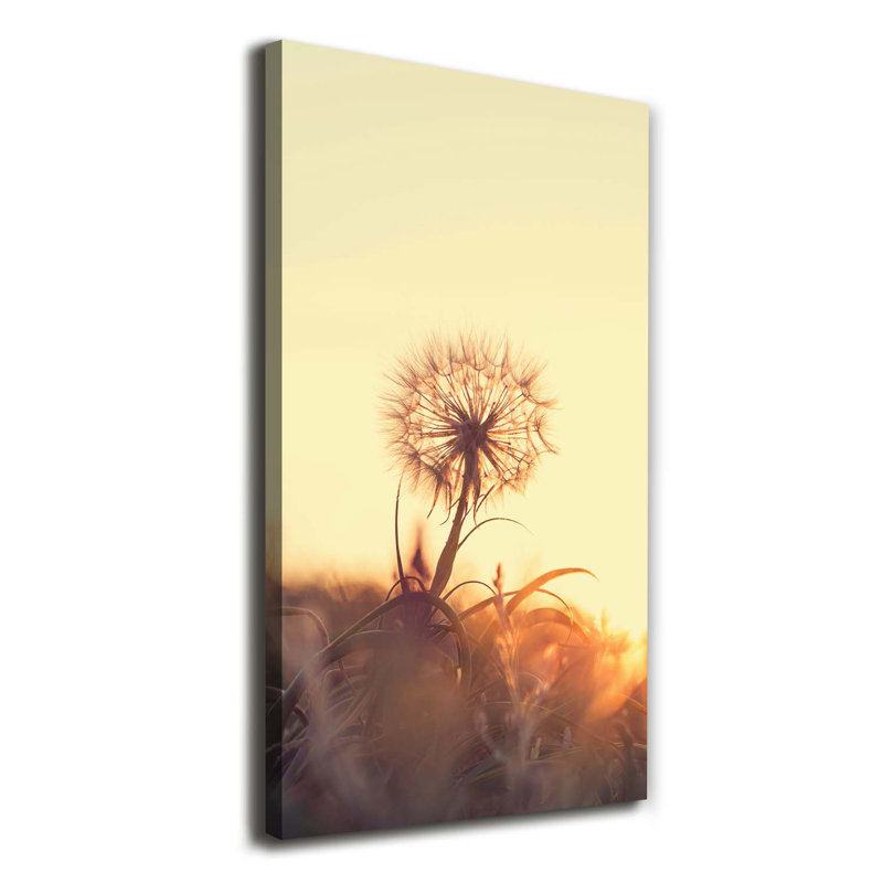 Dandelion - Wrapped Canvas Print