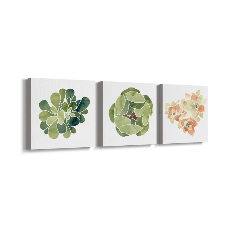«Succulent Cameo IX», ensemble de 3 toiles tendues, H 40 po x l 80 po x P 1 po