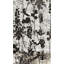 Midnight Garden II Print by Austin Beiv-26774269-26774271