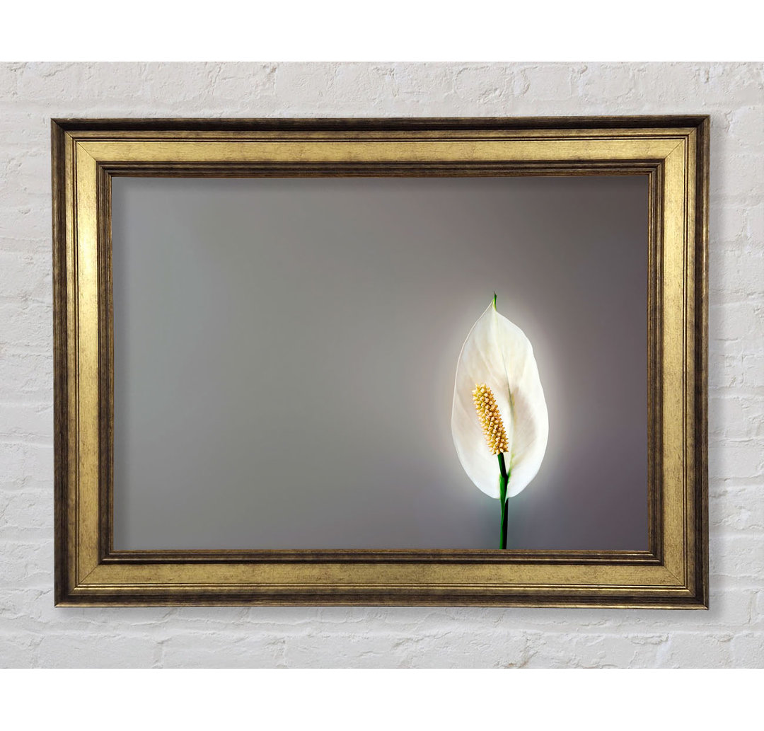 White Lily Heaven - Einzelner Bilderrahmen Kunstdrucke