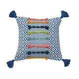 22" x22" Ciara Throw Pillow