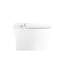 Toilette intelligente en céramique avec buse autonettoyante, siège chauffant, nuit, chasse d'eau à bouton, télécommande, ralentissement silencieux, fermeture en douceur, 3 options de chauffage automatique, choix de température de contrôle blanc,