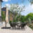 9' Square Medium Cantilever Umbrella with Base and 360-degree Rotation-67120606