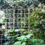 Treillis de jardin en métal 86,7 po x 19,7 po sur 2, rouille blanc crème, pour plantes grimpantes: jasmin, raisin, concombre, ensemble de 2 treillis facile à assembler, antirouille, supporte les plantes, haricots, installation rapide