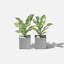 Geo Series Cube Planter-87184363-87239277