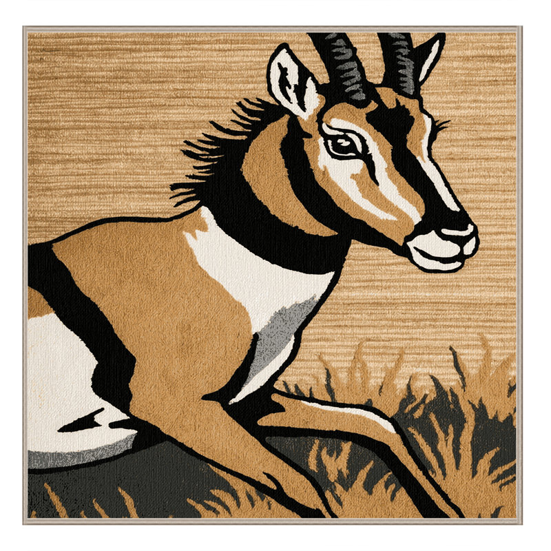  Tapis lavable Pronghorn, Rond 4 pi