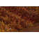 Dorothy Performance Striped Rug