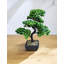 Geko 37cm Bonsai Tree