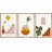 Mid Century Shape 3 - Pieces-79731323-79731324