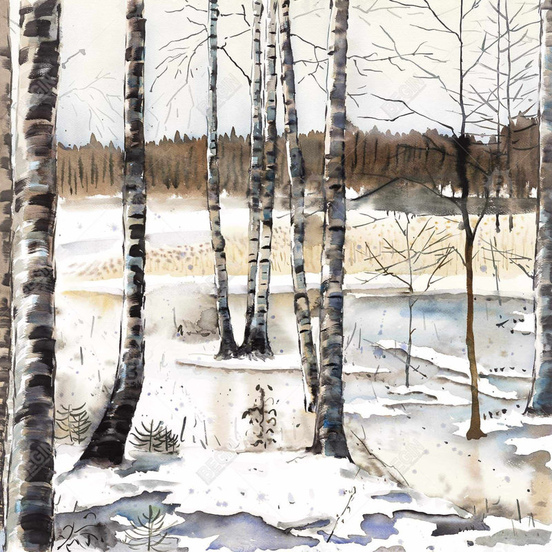 " Winter Swamp "