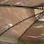 Customer photo 6 of 6