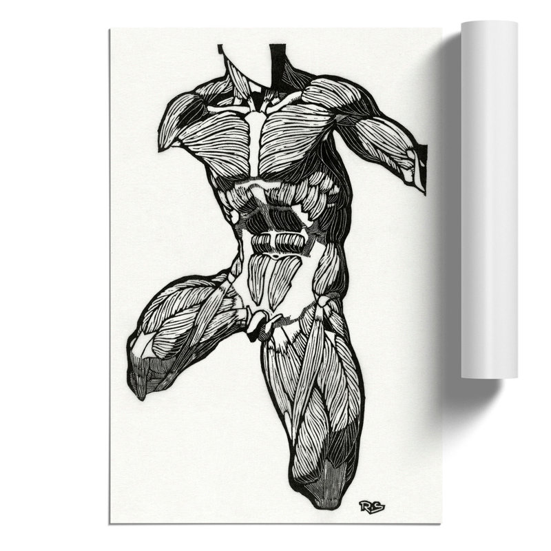 Anatomical Study of a Man by Reijer Stolk - Frameless Print, 42cm H x 30cm W x 0.1cm D