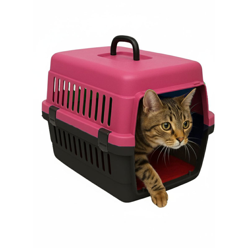 Boîte de transport pour animaux, H 11,81 po x l 17,72 po x P 11,81 po, Rose