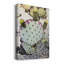 Toile tendue avec châssis rose et vert Cactus I - prêt à accrocher-1908657917