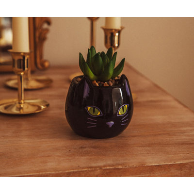 5.5'' Faux Succulent in Porcelain Planter