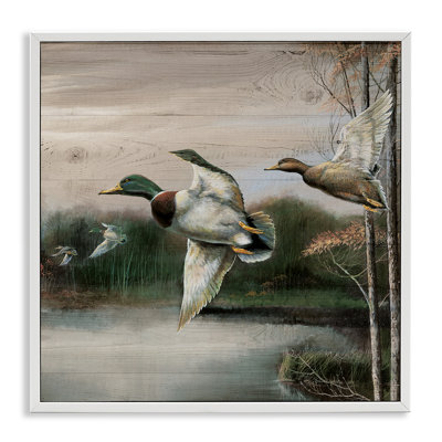 Flying Ducks in Rustic Nature, estampe numérique, conception de Ruane Manning