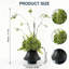 Arrangement organique moderne dans un pot