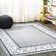 Devyn French Border Gray/Cream Rug