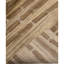 Hand Knotted Wool Area Rug in Gold