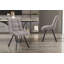 Ephemerine 49cm H Upholstered Metal Side Chair-2032087020