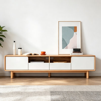 Modern Minimalist TV Stand