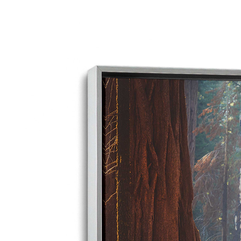 «Deer at the séquoias I» par Martin Podt, reproduction d'art, 30 W x 20 H, Silver, Framed Canvas