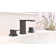 Widespread 2-handle Bathroom Faucet with Drain Assembly