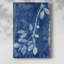 Branching Out XIX - Gala Cavas-108829912