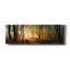 «Speulderbos Panorama» par Martin Podt, art mural sur toile-1744414733