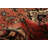 Andelz Dark Copper Rug 3'8" x 10'0"
