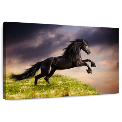 Frison sur une falaise