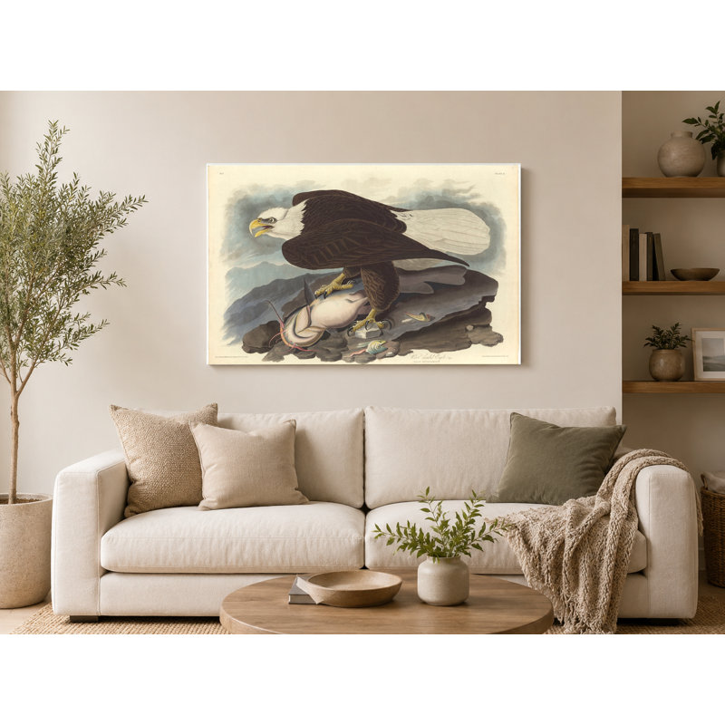 Aigle à tête blanche (planche 31) - art mural sur toile paysage, L 20 po x H 16 po