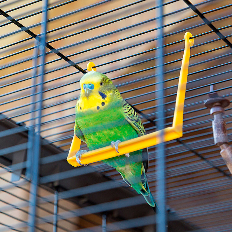 70cm Flat Top Table Top Bird Cage with Perch