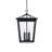Danny Miyashiro Outdoor Pendant in Black-1613287670