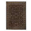 Wool Oriental Area Rug in Dark Green