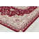 Arliz Oriental Indoor Rug
