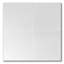 Thassos White Marble 12 in. x 12 in. Marble Tile