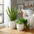 Planter Ceramic Scalloped Rim Ribbed Design Set Of 2-1052548935