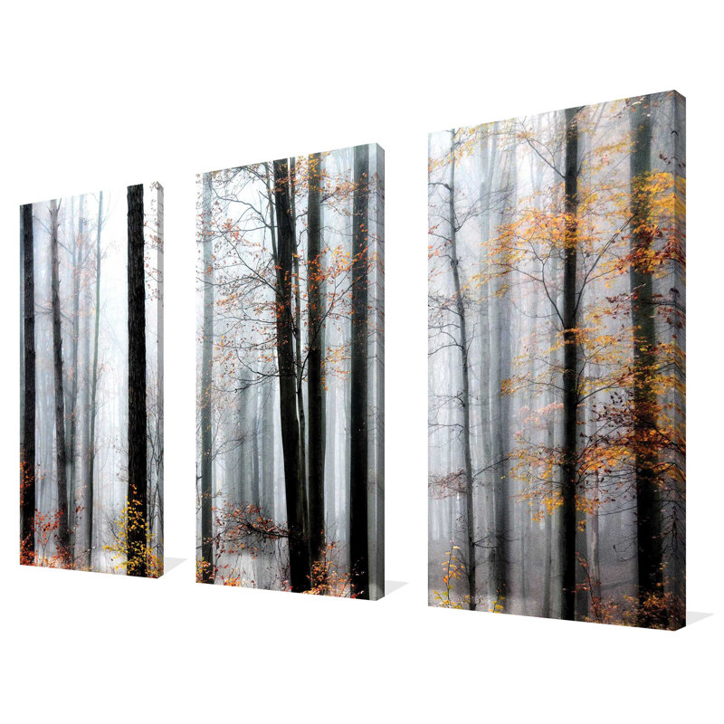 Daylight Enraptured - Ensemble de 3 photos sur toiles tendues, H 24 po x l 36 po x P 0,75 po