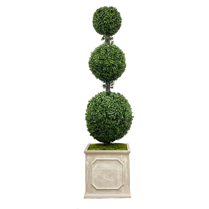 63'' Boxwood Topiary in Fiberstone Planter
