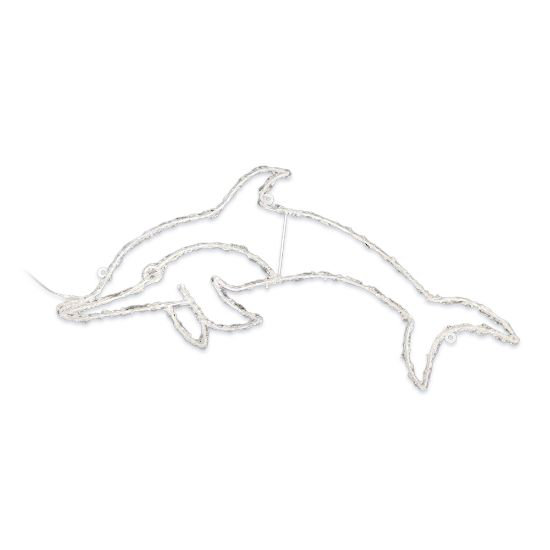 2D Dolphin Sign