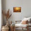 Adriatik Open Window Farmhouse-2013496774