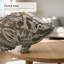 Figurine Feebie Fantail