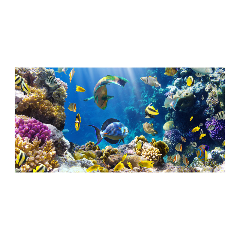 Coral Reef - Wrapped Canvas Print
