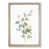 Oak Framed selected