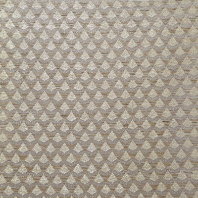 Silvio Fabric
